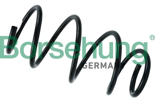 Fahrwerksfeder Vorderachse Borsehung B12564