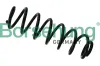 Fahrwerksfeder Hinterachse Borsehung B12624