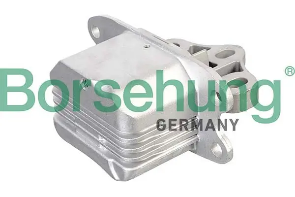 Halter, Automatikgetriebeaufhängung Borsehung B12637