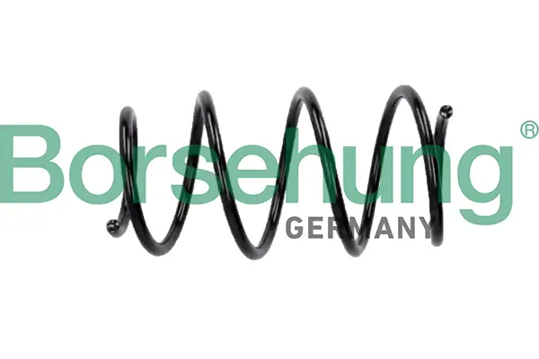 Fahrwerksfeder Vorderachse Borsehung B12686