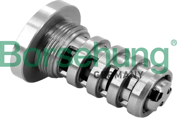 Zentralventil, Nockenwellenverstellung Borsehung B12694