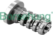 Zentralventil, Nockenwellenverstellung Borsehung B12694