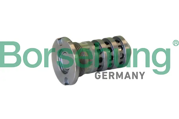 Zentralventil, Nockenwellenverstellung Borsehung B12694