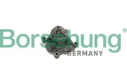 Wasserpumpe, Motorkühlung Borsehung B12696