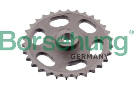 Steuerkettensatz Borsehung B12724 Bild Steuerkettensatz Borsehung B12724