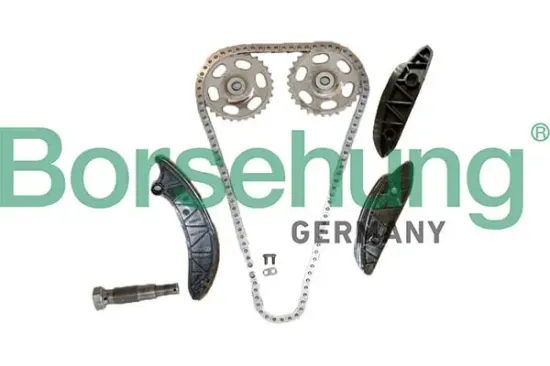 Steuerkettensatz Borsehung B12725 Bild Steuerkettensatz Borsehung B12725