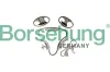 Steuerkettensatz Borsehung B12735