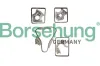 Steuerkettensatz Borsehung B12737