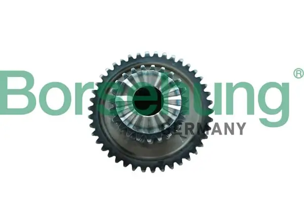 Steuerkette Borsehung B12746