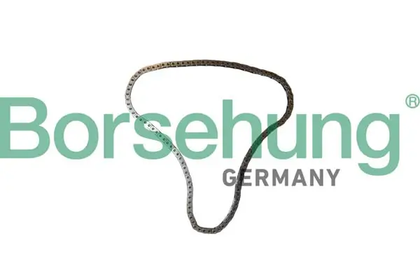 Steuerkette Borsehung B12766