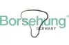 Steuerkette Borsehung B12766