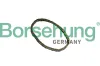 Steuerkette Borsehung B12767