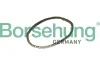 Steuerkette Borsehung B12768