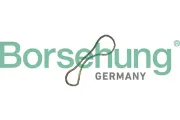 Steuerkette Borsehung B12769