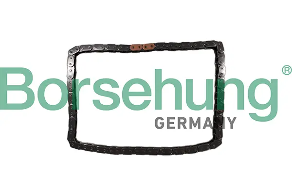 Steuerkette Borsehung B12784
