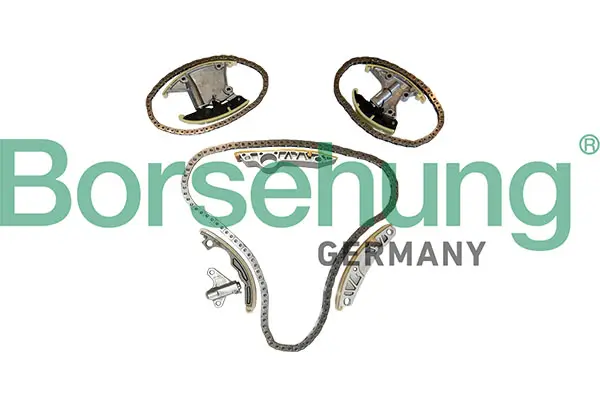 Steuerkettensatz Borsehung B12957