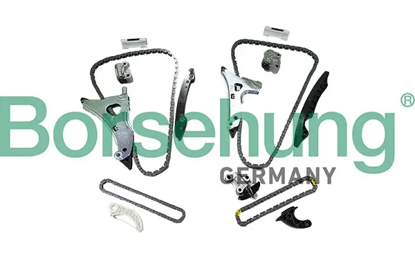 Steuerkettensatz Borsehung B12988