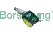 Radsensor, Reifendruck-Kontrollsystem Borsehung B13002