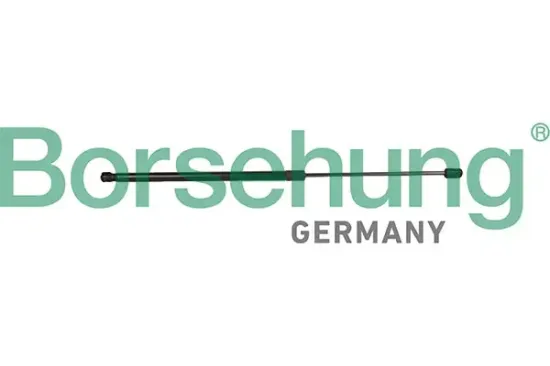 Radlagersatz Hinterachse Borsehung B15621 Bild Radlagersatz Hinterachse Borsehung B15621