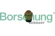 Temperaturschalter, Kühlerlüfter Borsehung B13130