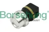 Sensor, Kühlmitteltemperatur Borsehung B13134