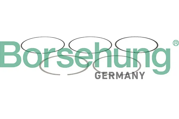 Kolbenringsatz Borsehung B13257