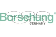 Kolbenringsatz Borsehung B13257