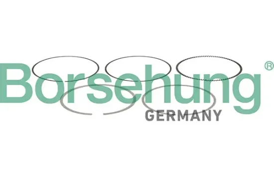 Kolbenringsatz Borsehung B13257 Bild Kolbenringsatz Borsehung B13257