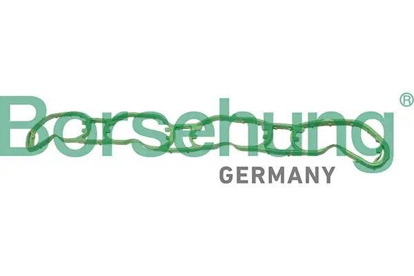 Dichtung, Ansaugkrümmer Borsehung B13261