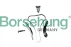 Steuerkettensatz Borsehung B13290