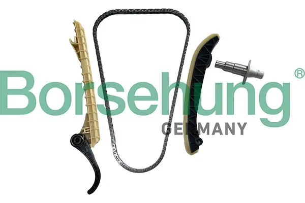 Steuerkettensatz Borsehung B13293