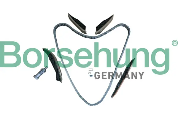 Steuerkettensatz Borsehung B13295