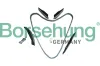 Steuerkettensatz Borsehung B13295