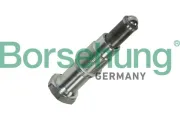 Spanner, Steuerkette Borsehung B13307