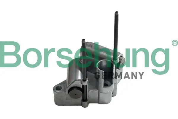 Spanner, Steuerkette Borsehung B13313