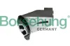 Gleitschiene, Steuerkette Borsehung B13320