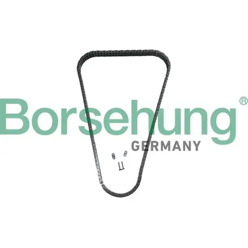 Steuerkette Borsehung B13344