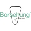 Steuerkette Borsehung B13344