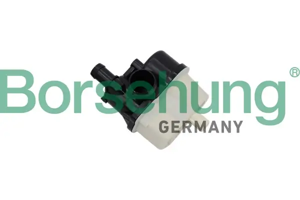 Gaspumpe, EVAP-Aktivkohlebehälter (Tankentlüftung) Borsehung B13441