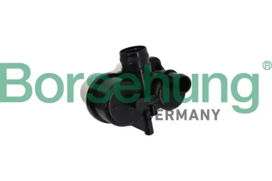 Gaspumpe, EVAP-Aktivkohlebehälter (Tankentlüftung) Borsehung B13441 Bild Gaspumpe, EVAP-Aktivkohlebehälter (Tankentlüftung) Borsehung B13441