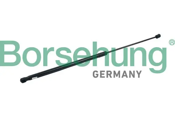 Gasfeder, Motorhaube beidseitig Borsehung B14187