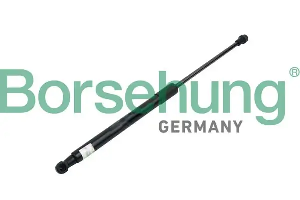 Gasfeder, Koffer-/Laderaum beidseitig Borsehung B14198