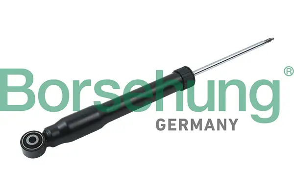 Stoßdämpfer Hinterachse Borsehung B14718
