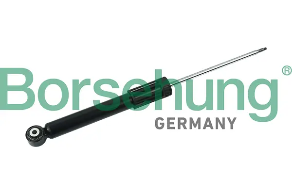 Stoßdämpfer Hinterachse Borsehung B14725