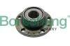 Radlagersatz Hinterachse Borsehung B15623