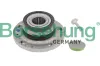 Radlagersatz Hinterachse Borsehung B15946