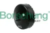 Bremskraftverstärker Borsehung B15996
