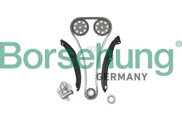 Steuerkettensatz Borsehung B16296