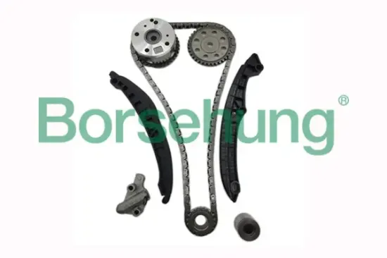 Steuerkettensatz Borsehung B16306 Bild Steuerkettensatz Borsehung B16306