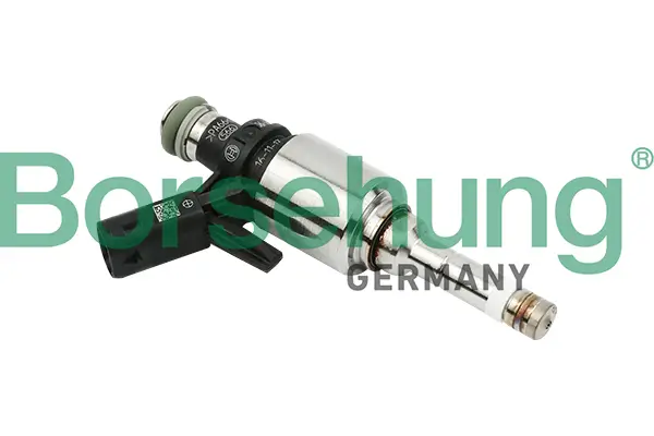 Einspritzventil Borsehung B16924